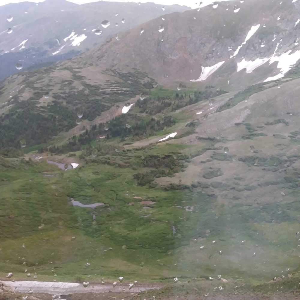 Meet your Posher, Sharnett